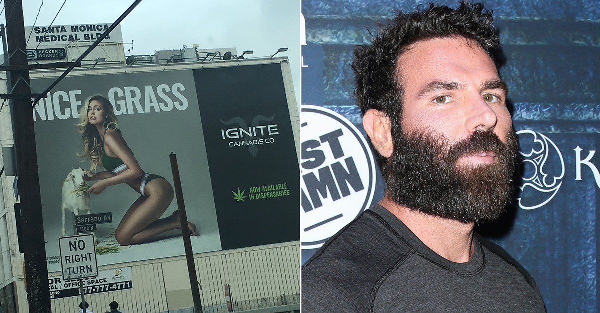 Dan Bilzerian Job